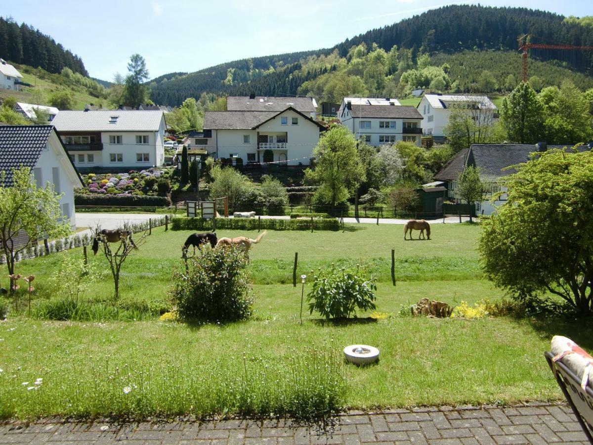 Ferienwohnung Lenne Schmallenberg Exteriör bild